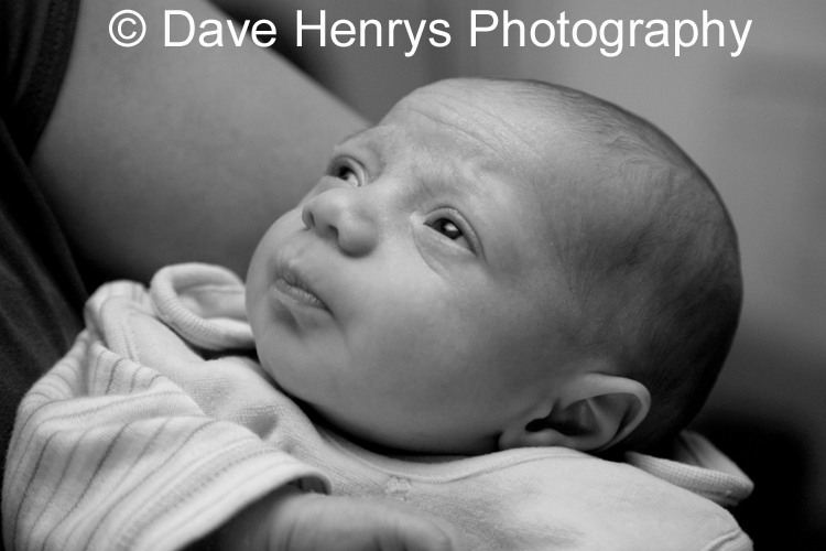 Harry George