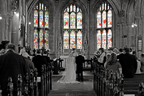 Copyright: Dave Henrys Photography