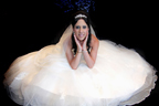 Copyright: Dave Henrys Photography